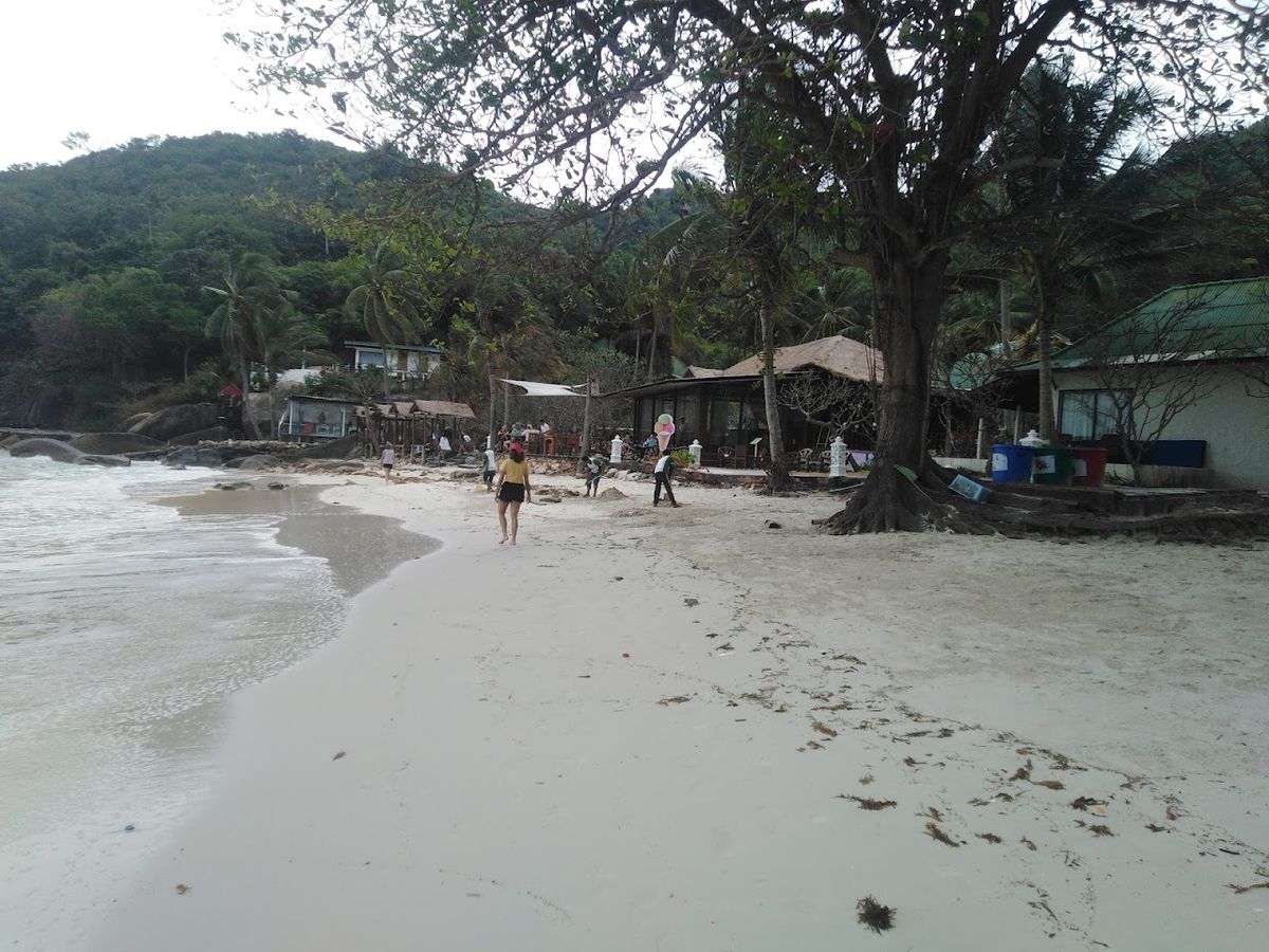 Crystal Beach (Coral Cove) photo 3