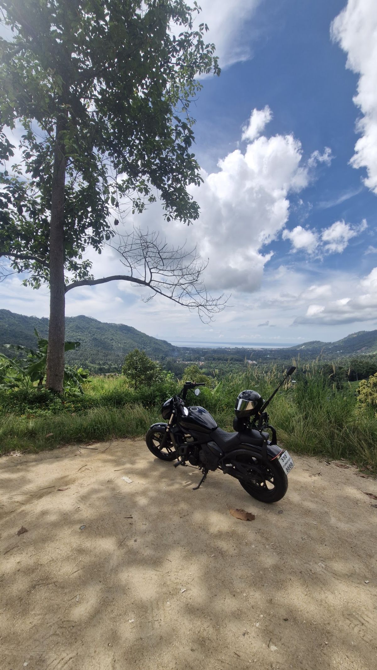 Jungle Road Viewpoint photo 2