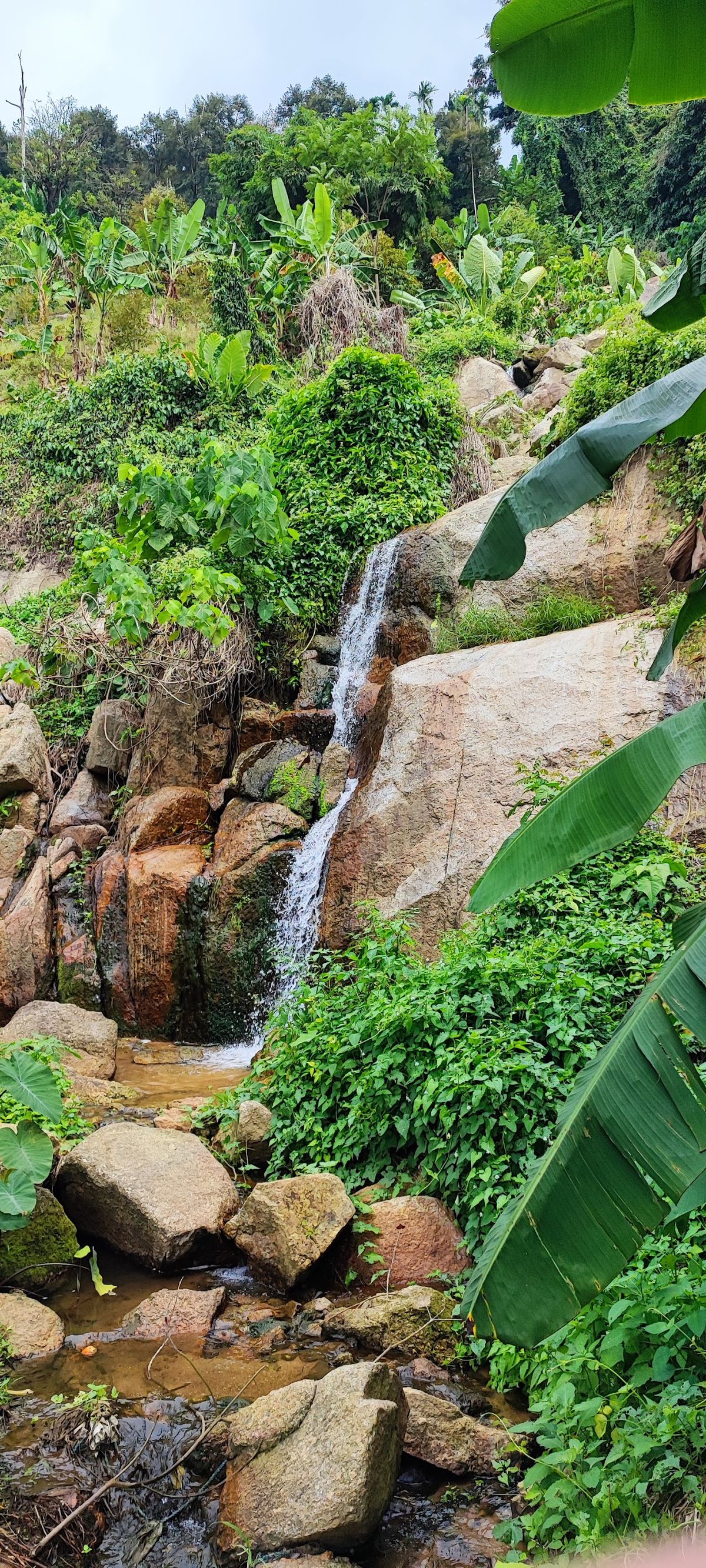 Khao Yai Waterfall photo 2