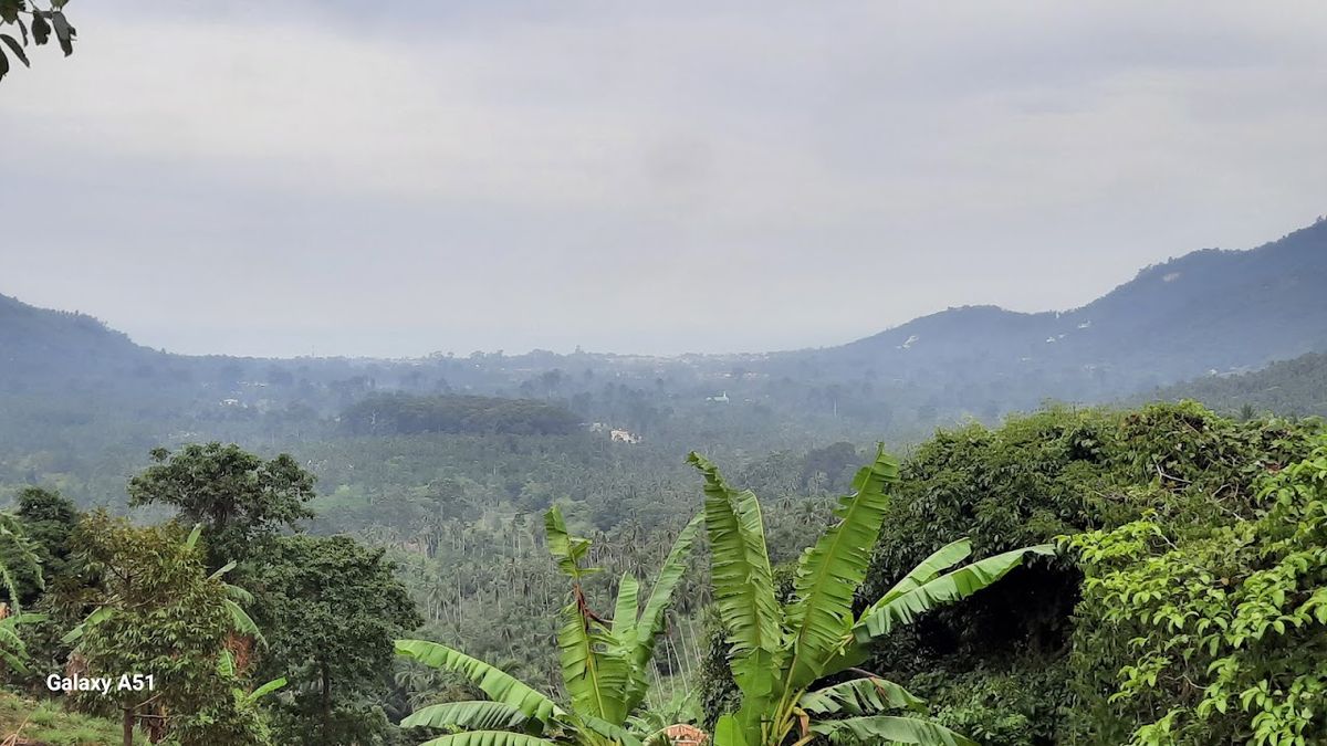 Khao Yai Waterfall photo 3