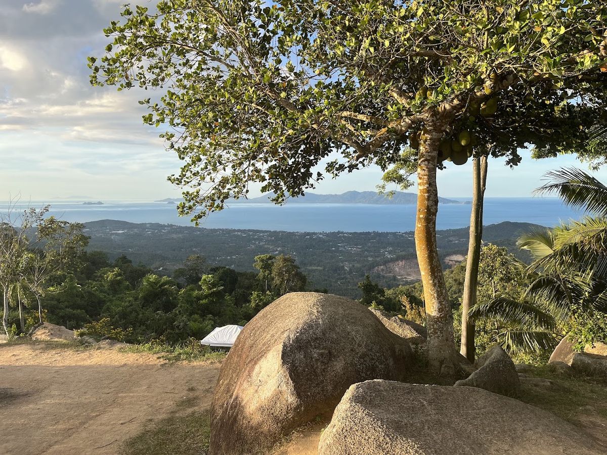Point of View Viewpoint photo 4