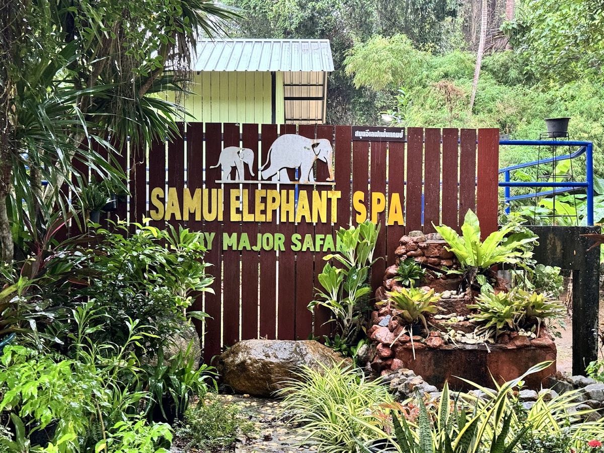 Samui Elephant Spa photo 3