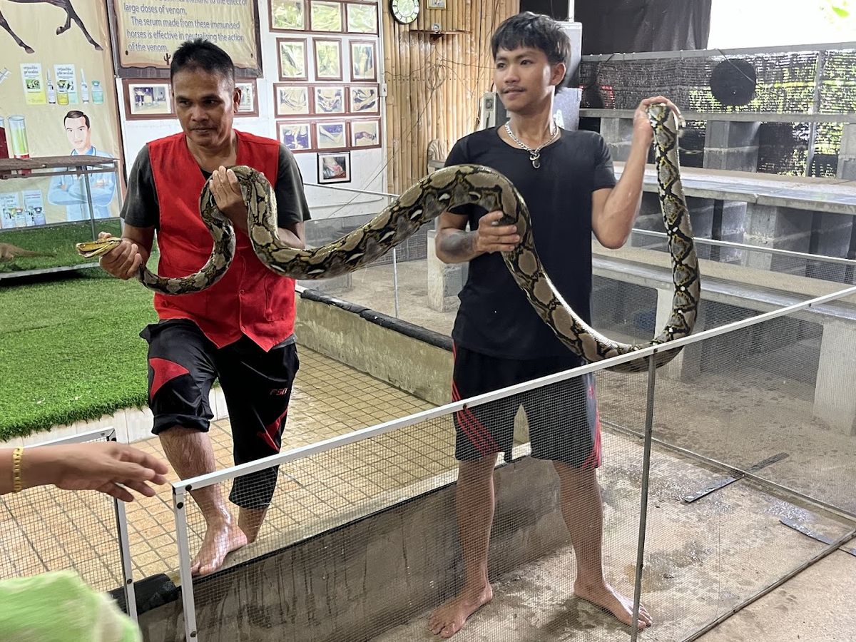 Snake Show Center Na Mueang photo 3
