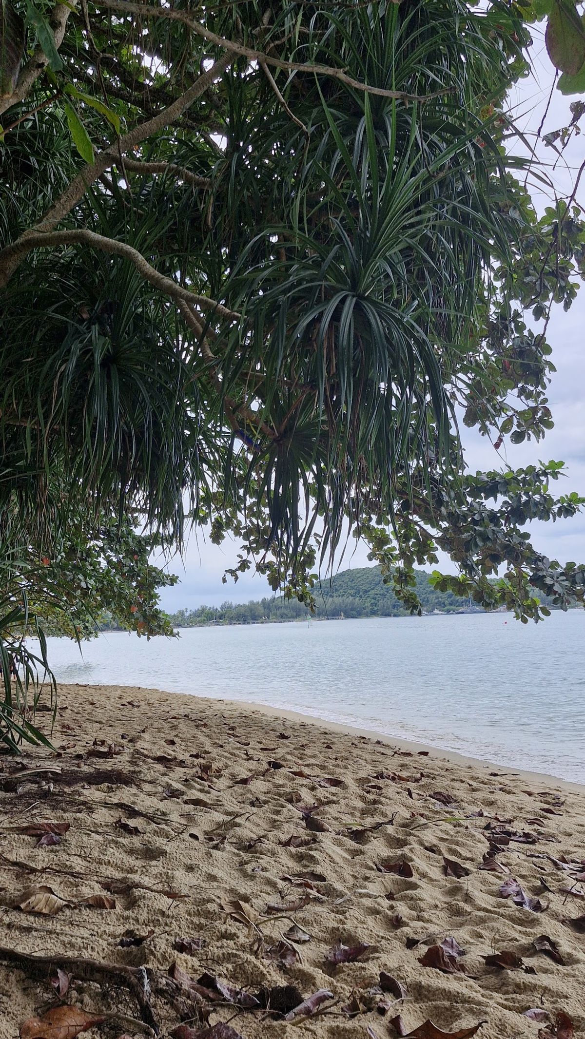 Suda Beach photo 2
