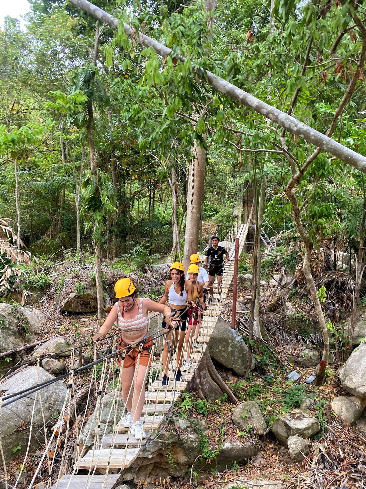 Treetop Tour Zipline photo 3