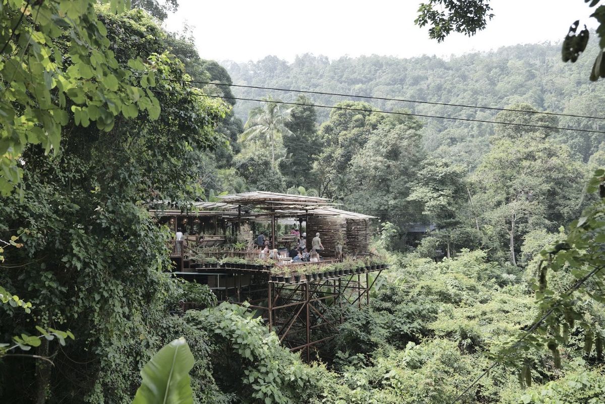 Treetop Tour Zipline photo 4