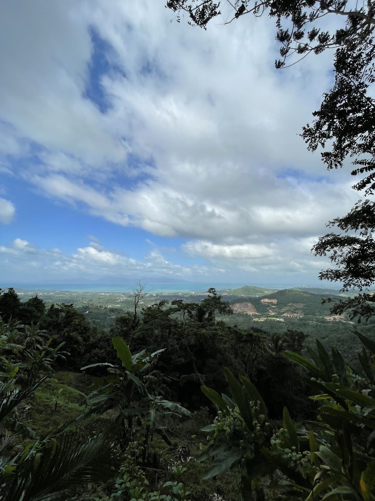 View point photo 2