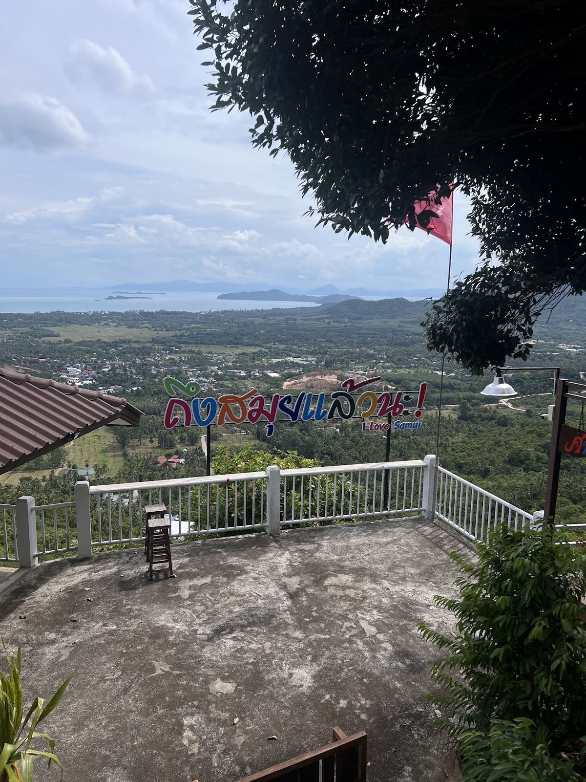 View point photo 4