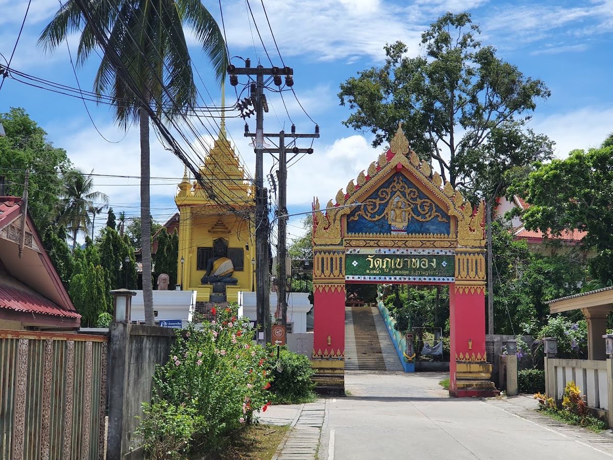 Wat Phu Khao Thong photo 4