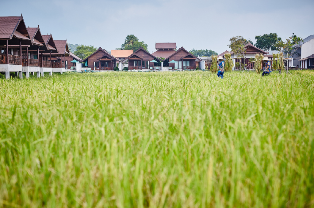 Farmer's Villa — photo 5