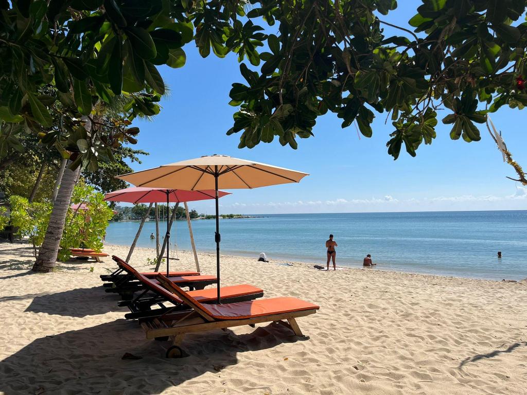 Samui Harmony — photo 5