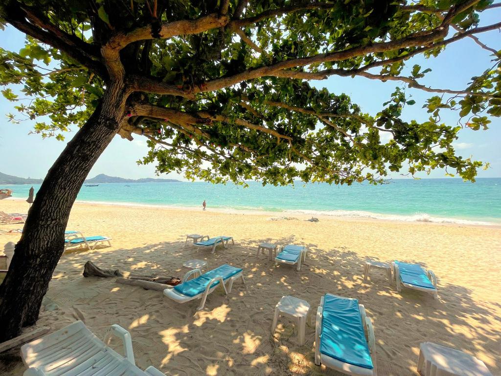 Samui Sense Revive — photo 5