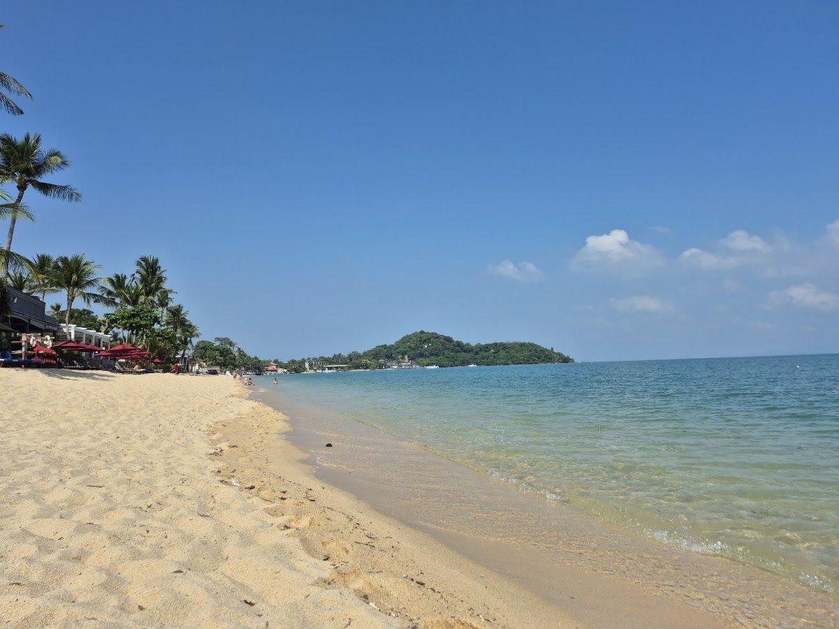 Bophut Beach on Koh Samui's north coast — palm-fringed shoreline with calm water and traditional fishing boats offshore