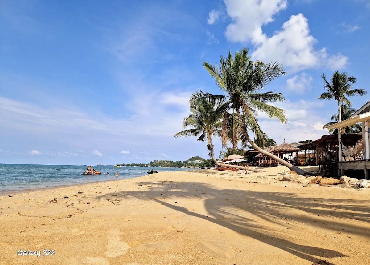 Maenam Beach on Koh Samui's north coast — wide sandy bay with calm clear water, leaning palm trees, and a beachside bar in the background
